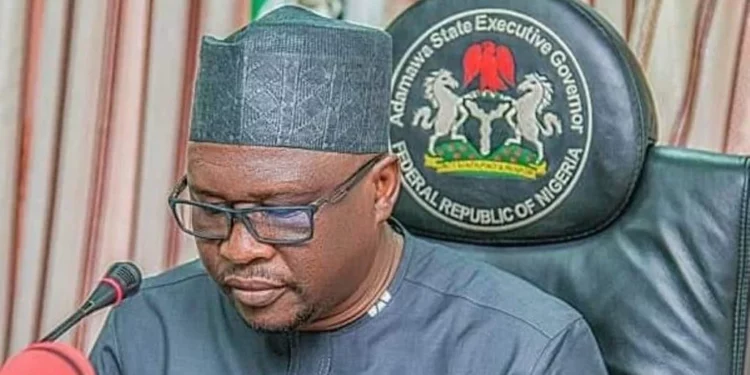Adamawa gov Fintiri halts NGO activities