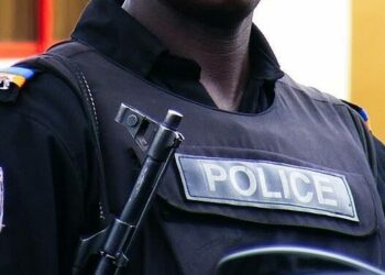 Two cop killed as gunmen attack Enugu checkpoint