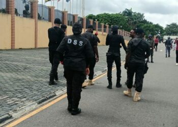 PHOTOS: DSS operatives on ground as protesters storm Lagos Assembly