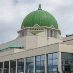 NASS investigates killing of Enugu vigilante members 