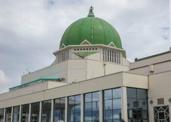 NASS investigates killing of Enugu vigilante members 