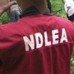 NDLEA seizes Saudi-bound cocaine hidden in body lotion bottles