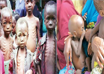 Rising food costs may spark malnutrition crisis in Nigeria, experts warns