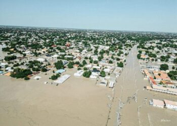 VP Shettima walks through Borno flood to aid victims