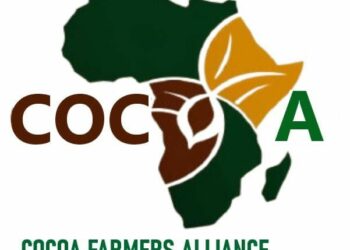 African farmers demands solution to cocoa industry challenges