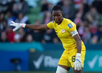Super Falcons goalkeeper Nnadozie nominated for French League award