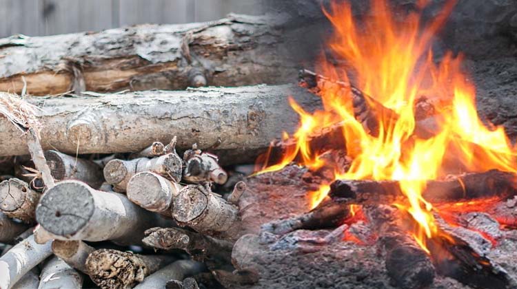 One billion Africans at risk from cooking pollution - IEA